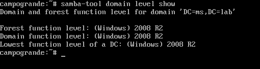 Saída do comando: samba-tool domain level show