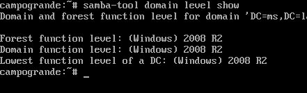 Saída do comando: samba-tool domain level show